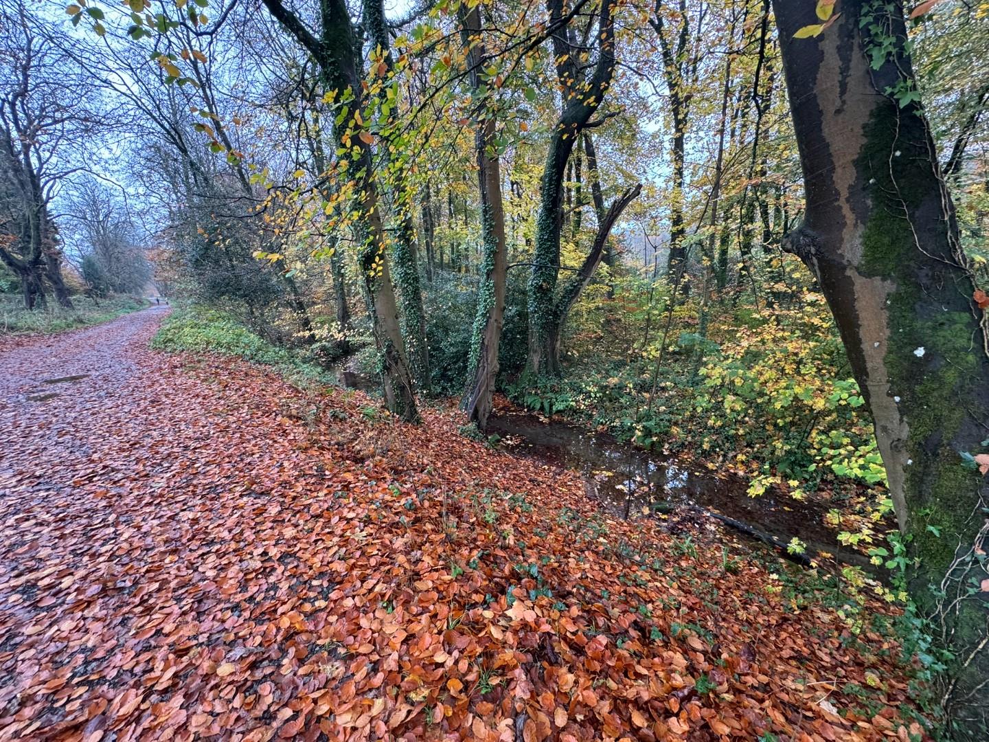 Approximately. 1.95 acres of Woodland Miskin, Pontyclun, CF72 8PE